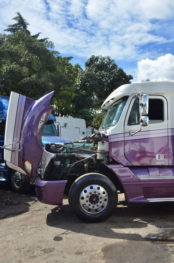 Freightliner Columbia 120 - Image 5